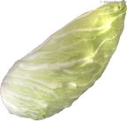 Zuckerhut-Salat, HK II