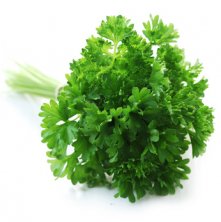 Kr&auml;uterbund Krause Petersilie