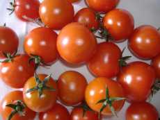 Cherrytomaten, HK II