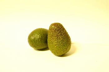 Avocado, Hass