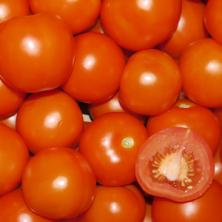 Tomaten, rund, HK II