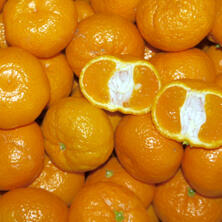 Mineola (ClementinexGrapefruit), HK II