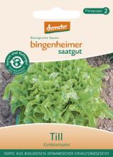 Eichblattsalat-Saatgut, Till